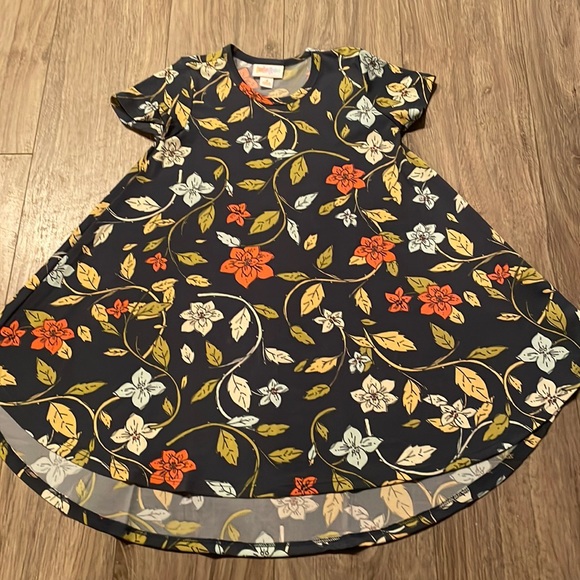 Beautiful LuLaRoe Scarlett - Picture 1 of 1